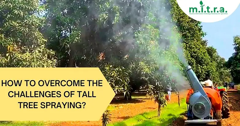 How to Overcome the Challenges of Tall Tree Spraying