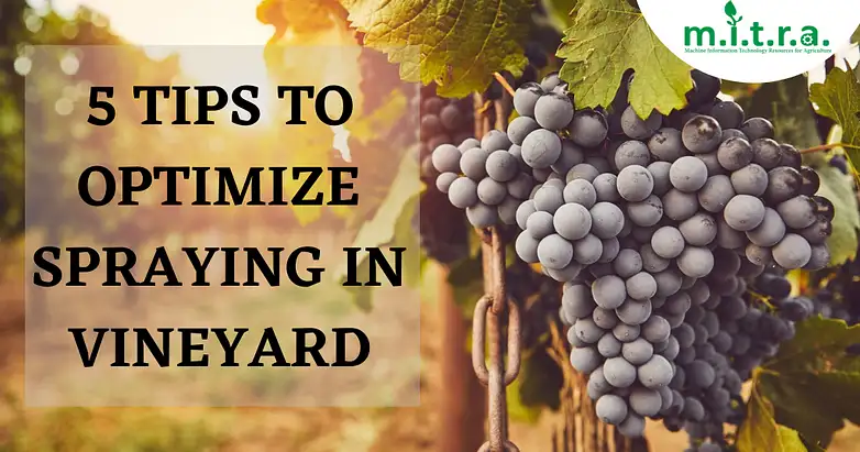 5 TIPS TO OPTIMIZE SPRAYING IN VINEYARD