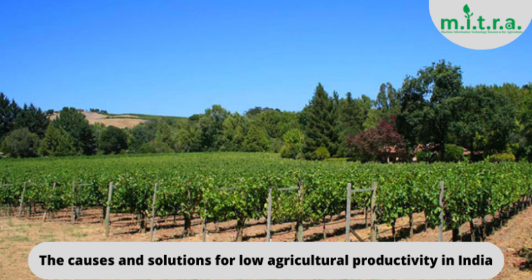 The causes and solutions for low agricultural productivity in India