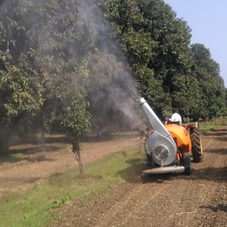 mango sprayer