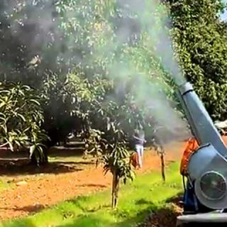 mango sprayer