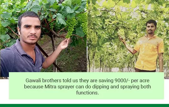 Gawali brothers told us they are saving per acre because mitra sprayer can do dipping and spraying both functions