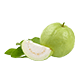 guava