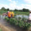 Sustainability in Farming How MITRA’s Advanced Agricultural Sprayers Are Making an Impact