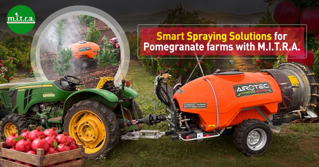 Pomegranate Orchard Sprayer